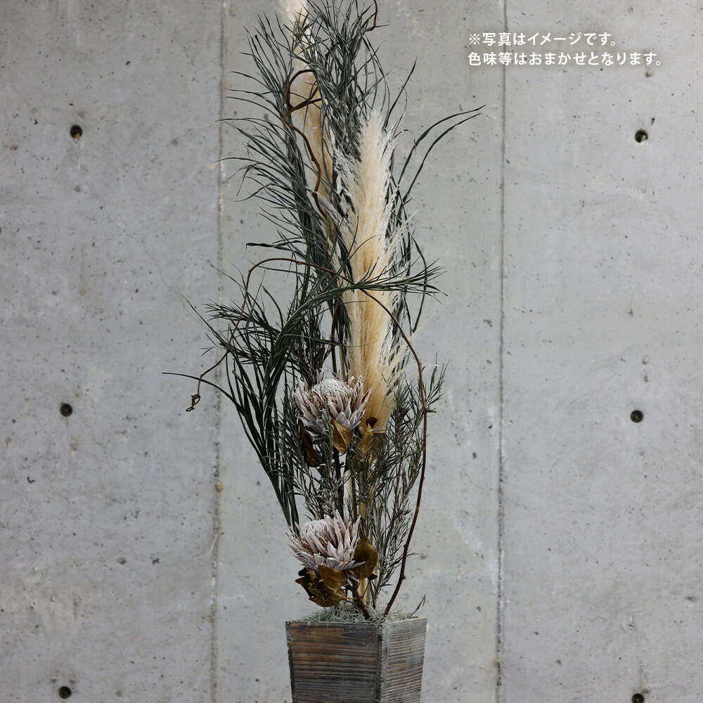 【ふるさと納税】観葉植物のようなアレンジ 縦約160cm&times;横約70cm&times;幅約70cm 色味おまかせ ドライフラワー お花 花 インテリア 雑貨 手作り ハンドメイド フラワー アレンジメント 植物 オシャレ お洒落 九州九州 熊本県 送料無料｜熊本県