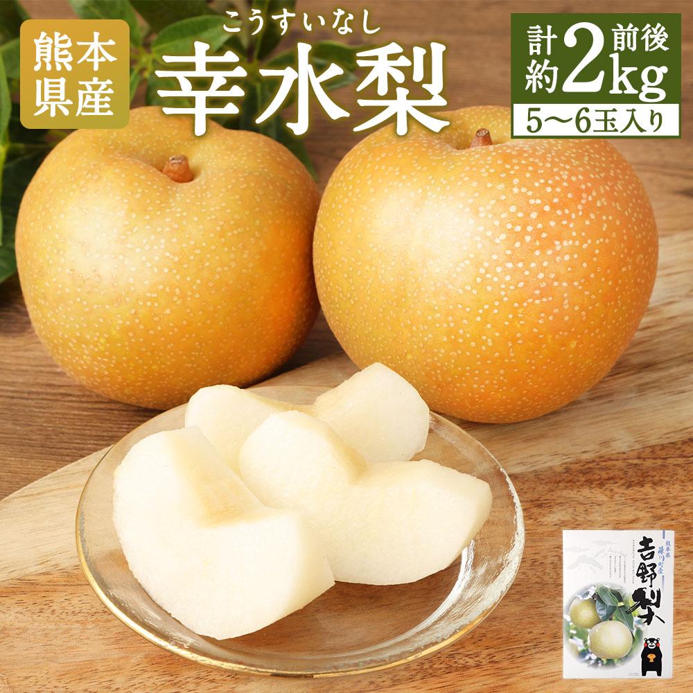 【ふるさと納税】熊本県産 幸水梨 2キロ 5～6玉入り 2kg 【2026年7月下旬発送開始】 幸水 梨 ナシ なし フルーツ 果物 くだもの 冷蔵 九州 熊本県 送料無料