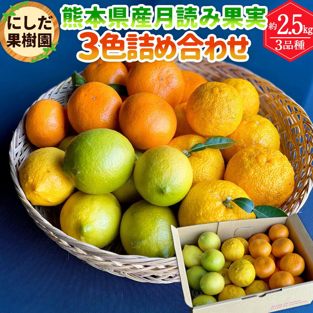 【ふるさと納税】にしだ果樹園の熊本県産 月読み果実 3色 詰め合わせ 3品種 約2.5kg 詰合せ 3種 セット みかん 柑橘 密柑 レモン 柚子 フルーツ 果物 くだもの 化粧箱 常温 にしだ果樹園 九州 熊本県 送料無料 【2026年11月上旬発送開始】｜熊本県