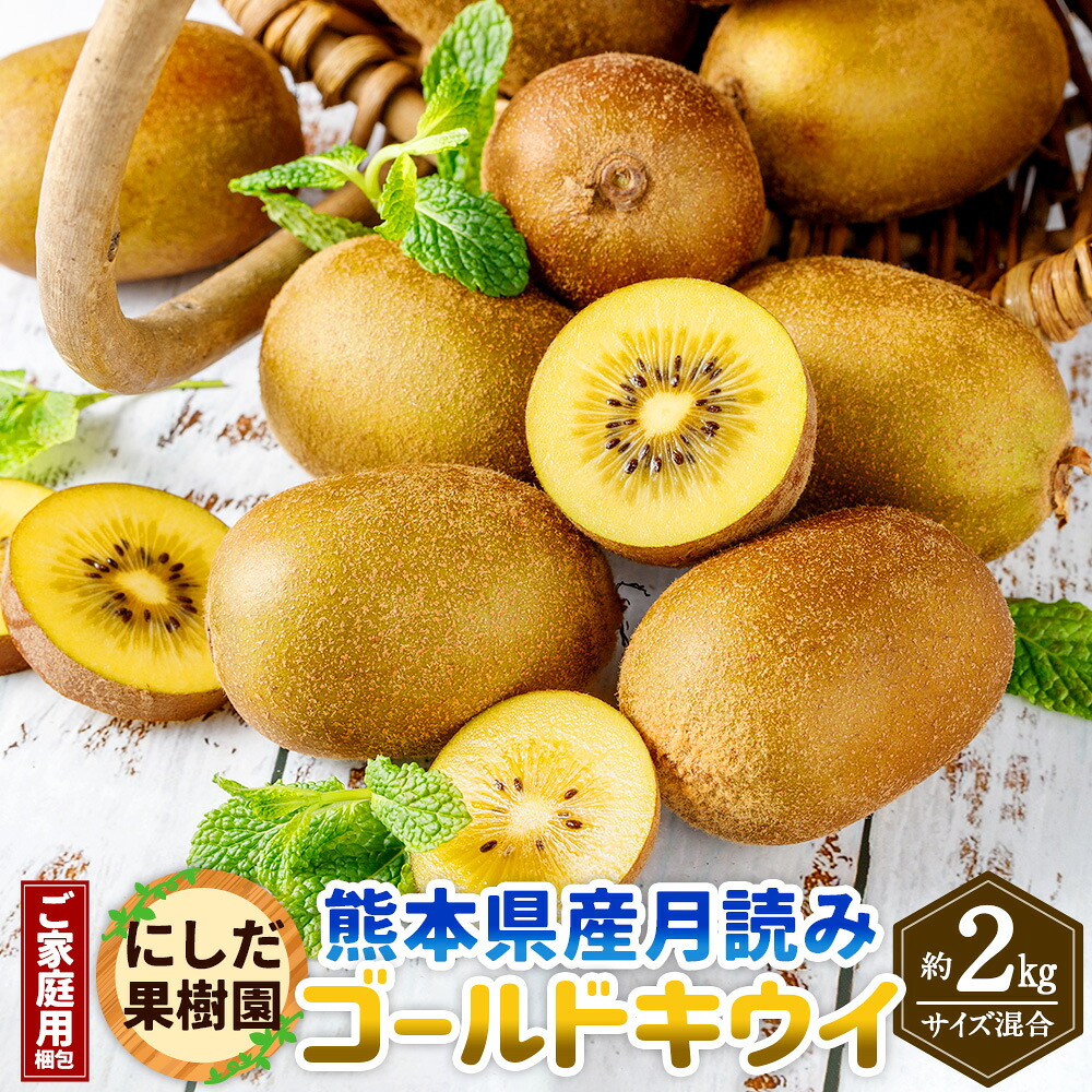 【ふるさと納税】【ご家庭用梱包】にしだ果樹園の熊本県産 月読み ゴールドキウイ サイズ混合 約2kg にしだ果樹園 キウイ くだもの 果物 フルーツ 果実 キウイフルーツ 常温 九州 熊本県 送料無料 【2026年11月上旬発送開始】|熊本県