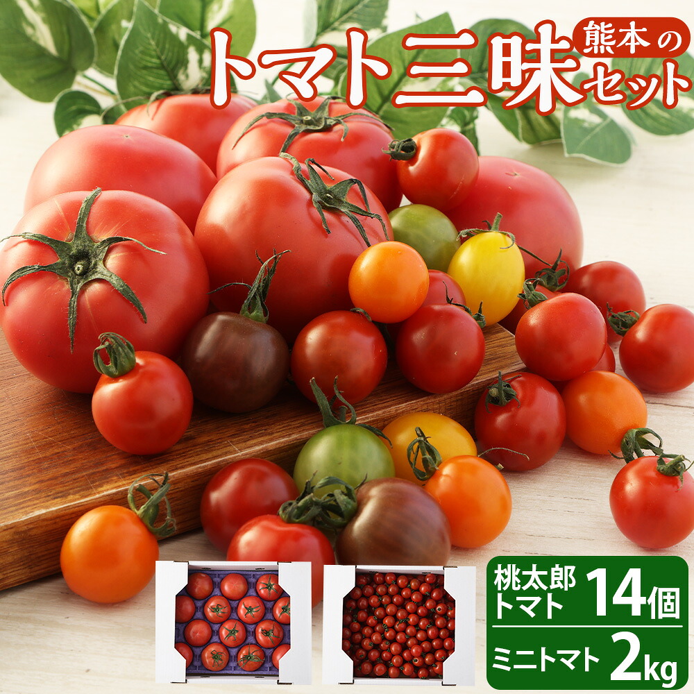 【ふるさと納税】熊本のトマト三昧 ミニトマト2kg＋桃太郎トマト14個 セット【2026年2月下旬発送開始】 詰め合わせ とまと 千果 カラフルミニトマト 野菜 やさい 九州 熊本県 送料無料