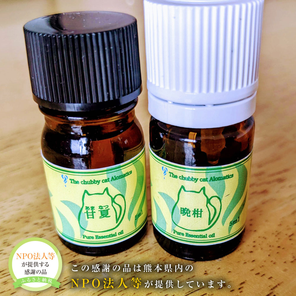 【ふるさと納税】熊本県産 柑橘系 アロマオイル 各5ml×2本(晩柑・甘夏・檸檬の3類概念より2本) 揮発油 馨香 芳ばしさ 芳ばしさ 伸び伸びする ひと休み 差し上げ物 差し上げ物 熊本県 貨物輸送無料