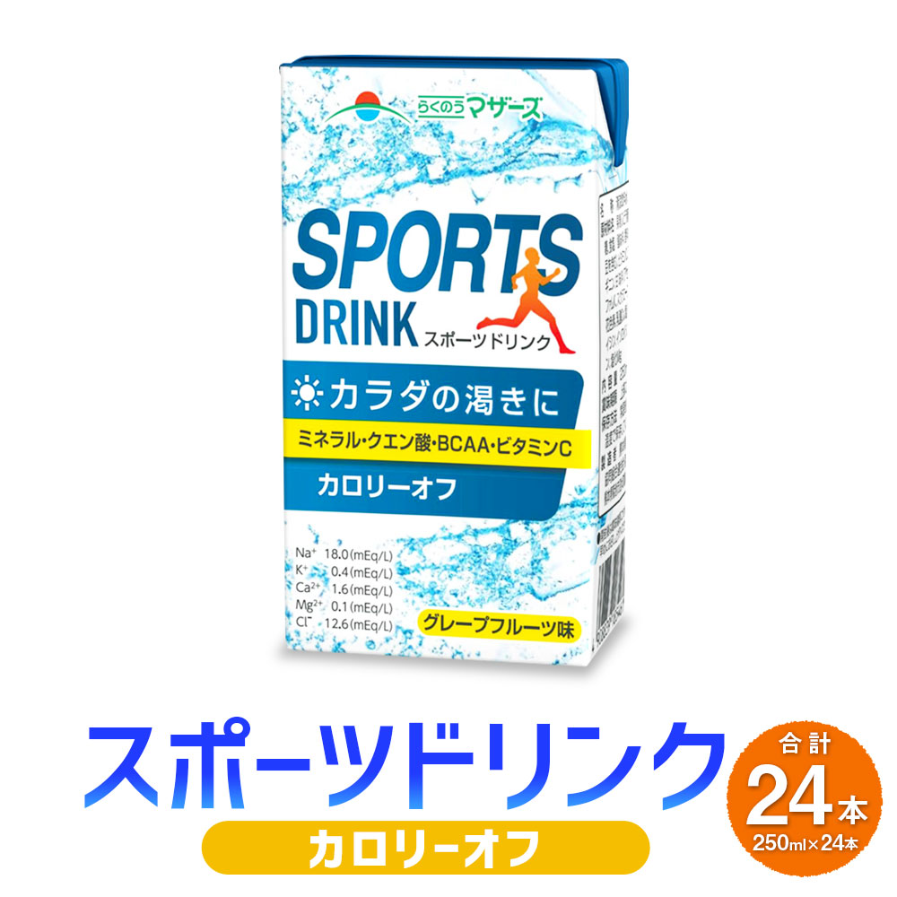 【ふるさと納税】スポーツドリンク250ml 24本 【2026年6月上旬発送予定】 飲み物 飲物 飲料 スポーツ飲料 ドリンク BCAA含有 熱中症対策 塩分 水分 カロリーオフ 九州 熊本県 送料無料