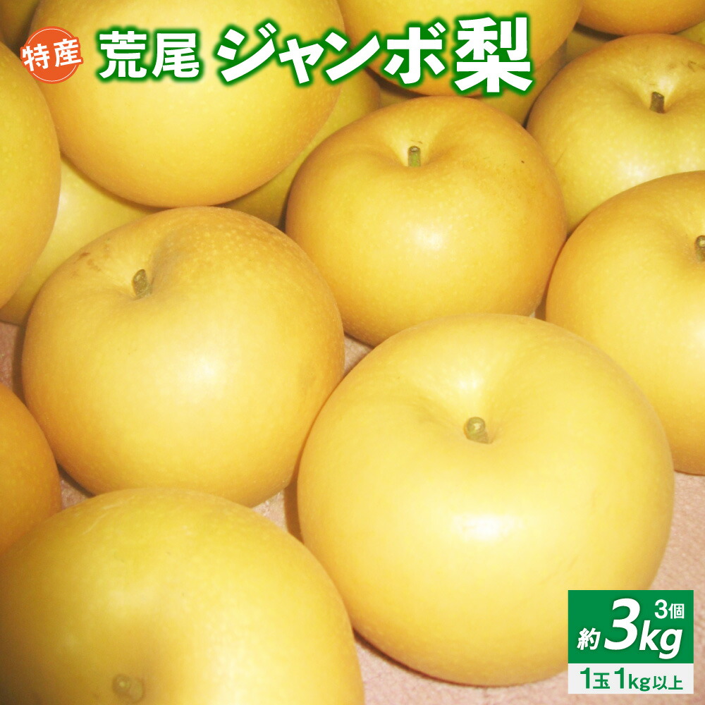 【ふるさと納税】特産 荒尾ジャンボ梨 3個 約3kg 新高梨 完熟 和梨 なし フルーツ 果物 くだもの 果実 旬 お取り寄せ 九州 熊本県 送料無料 【2025年10月上旬発送開始】