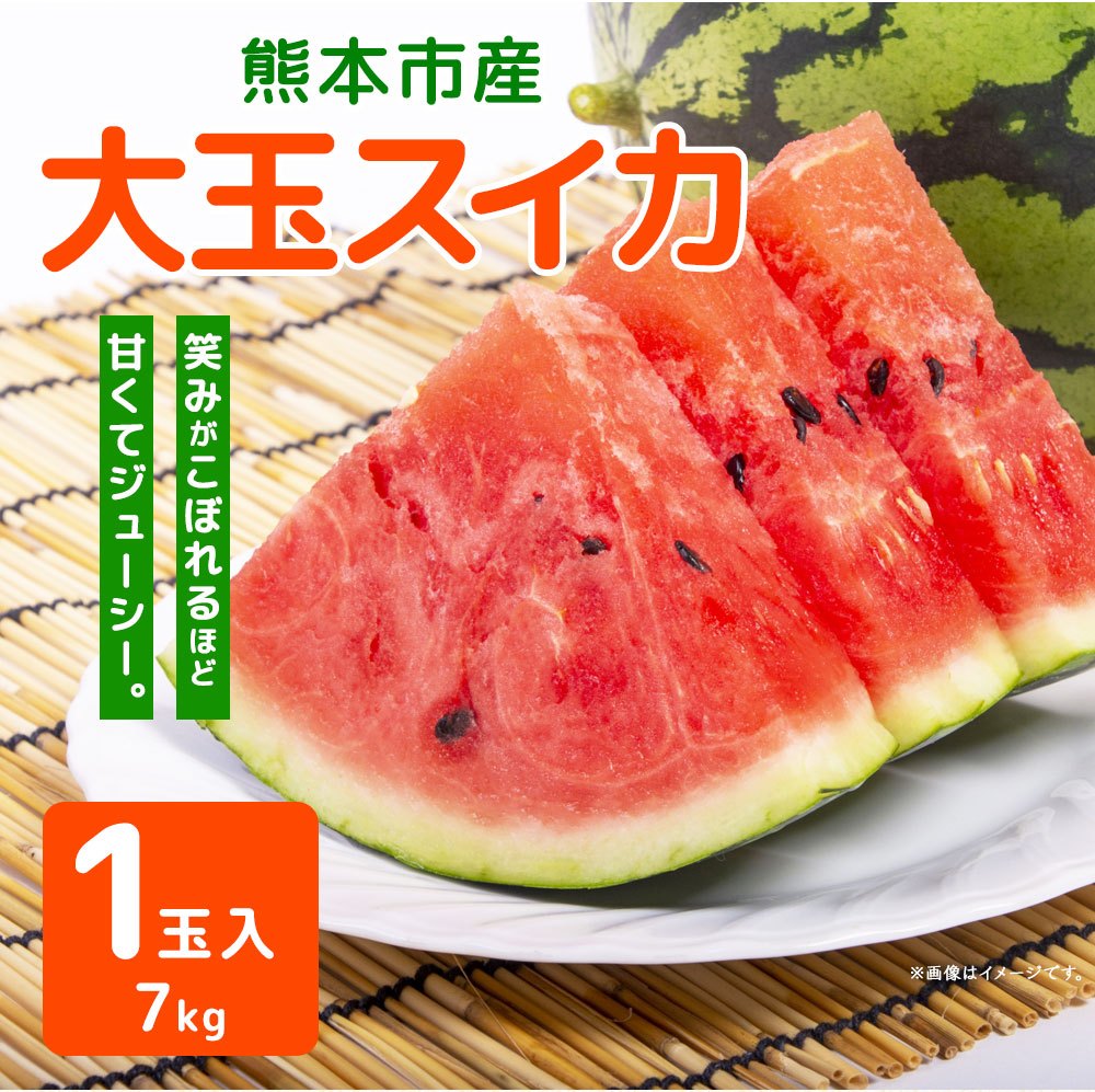 楽天市場 ふるさと納税 熊本市産 大玉スイカ 1玉入り 7kg 2021年4月より順次発送 スイカ すいか 西瓜 大玉 フルーツ 果物 くだもの 冷蔵 熊本県産 九州産 国産 送料無料 熊本県熊本市