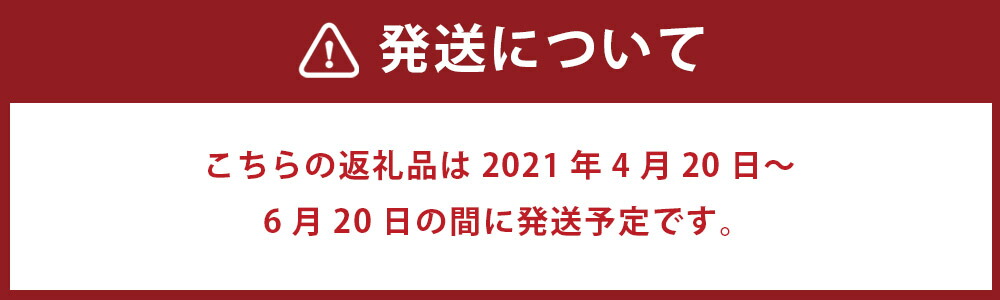 ふるさと納税 植木工作 すいか L大きさ かれこれ6kg スイカ 西瓜 果物 フルーツ 熊本マーケット産 熊本すいか 九州産 貨物輸送無料 Acilemat Com