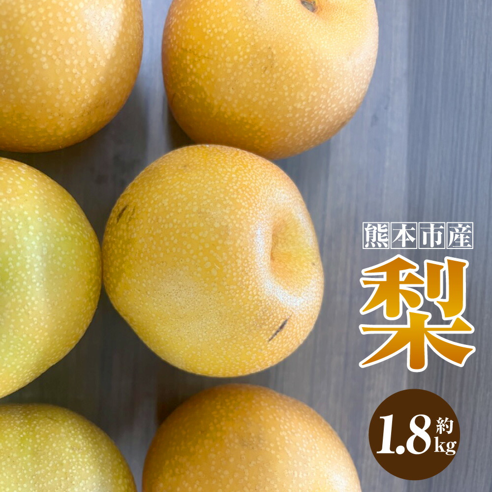 【ふるさと納税】 熊本市産 梨（幸水・豊水・秋月・新高など）約1.8kg（3～6玉） なし フルーツ くだもの 果物 果実 熊本県産 国産 冷蔵 送料無料 【2025年8月下旬～10月上旬迄発送予定】