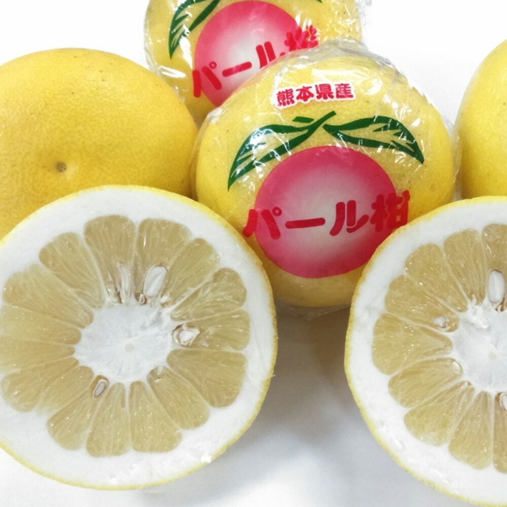 【ふるさと納税】 パール柑 【規格外品】ご家庭用 約10kg サイズ不選別 蜜柑 みかん 柑橘 果実 果物 くだもの フルーツ おやつ 熊本県産 国産 常温 送料無料【2026年1月下旬～2月下旬迄発送予定】