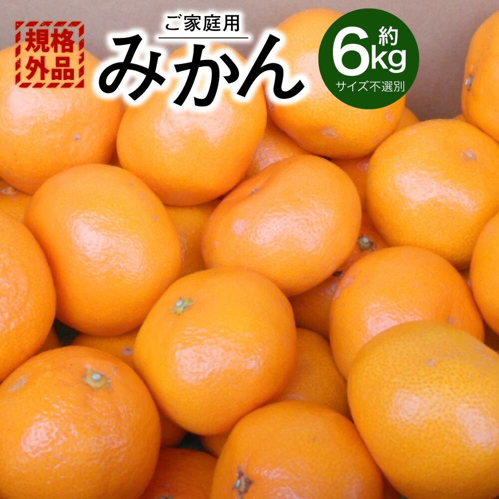 【ふるさと納税】 【規格外品】みかん ご家庭用 約6kg サイズ不選別  ミカン 蜜柑 柑橘 果実 フルーツ くだもの 果物 おやつ 熊本県産 国産 冷蔵 先行予約 送料無料 【2025年10月下旬～2026年2月上旬迄発送予定】