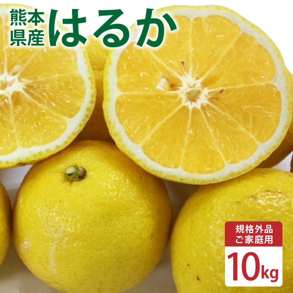 【ふるさと納税】 【規格外品】はるか ご家庭用 10kg サイズ不選別  サラダみかん 訳あり みかん ミカン フルーツ 果物 くだもの 柑橘 熊本県産 九州産 先行予約 送料無料 【2026年2月上旬～3月下旬迄発送予定】