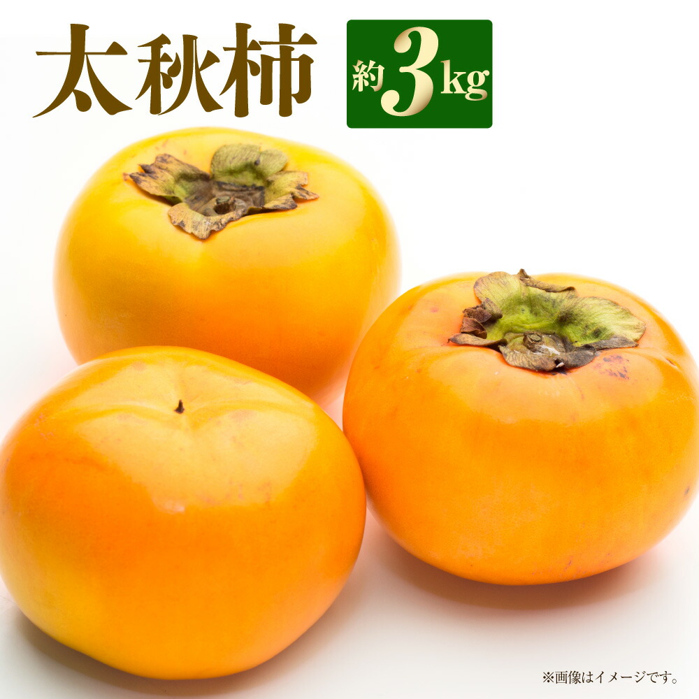 【ふるさと納税】【数量限定】【先行予約】太秋柿 約3kg かき カキ 柿 たいしゅうかき 果物 果実 旬 旬の果物 くだもの フルーツ 熊本県産 国産 熊本県 熊本市 先行予約 送料無料  【2025年10月上旬～下旬発送予定】