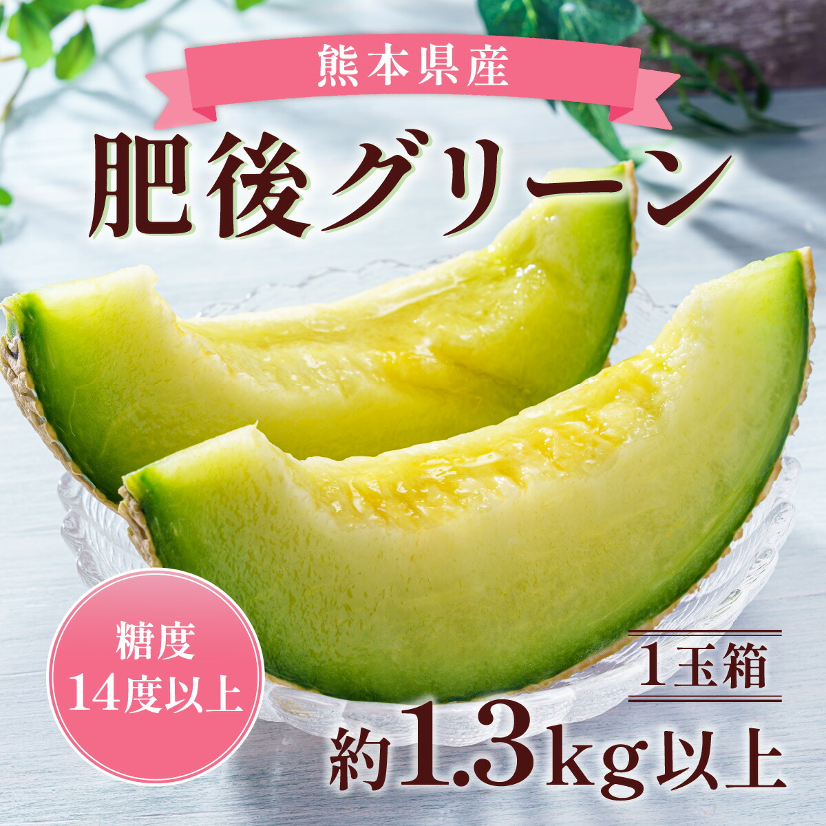 【ふるさと納税】肥後グリーン1玉 約1.3kg 以上 メロン 肥後グリーンメロン くだもの 果物 フルーツ 果実 果肉 おやつ 高糖度 熊本県 熊本市 国産 常温 送料無料【2025年6月上旬～2025年6月下旬迄発送予定】