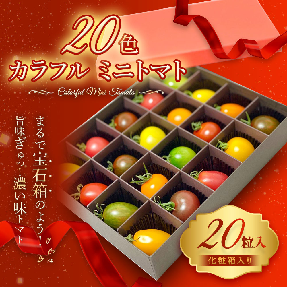 22モデル 色カラフルミニトマト 野菜 赤 紫 緑 ゼブラ プラムトマト ピンクのハート形 ミニトマト プチトマト 完熟 ギフトボックス 化粧箱 新鮮 詰め合わせ サラダ スイーツ 生野菜 冷蔵 ギフト 贈り物 国産 熊本県 九州 有限会社アーティフル 送料無料 Fucoa Cl