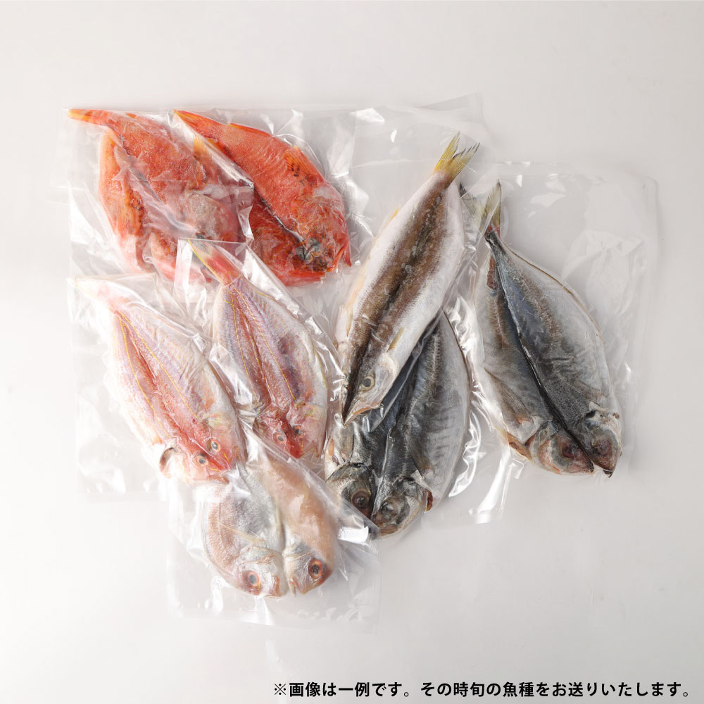 市場 ふるさと納税 おまかせ特選干物詰め合わせ アジ干物 カマス干物 鯛干物 太刀魚干物 旬の魚種