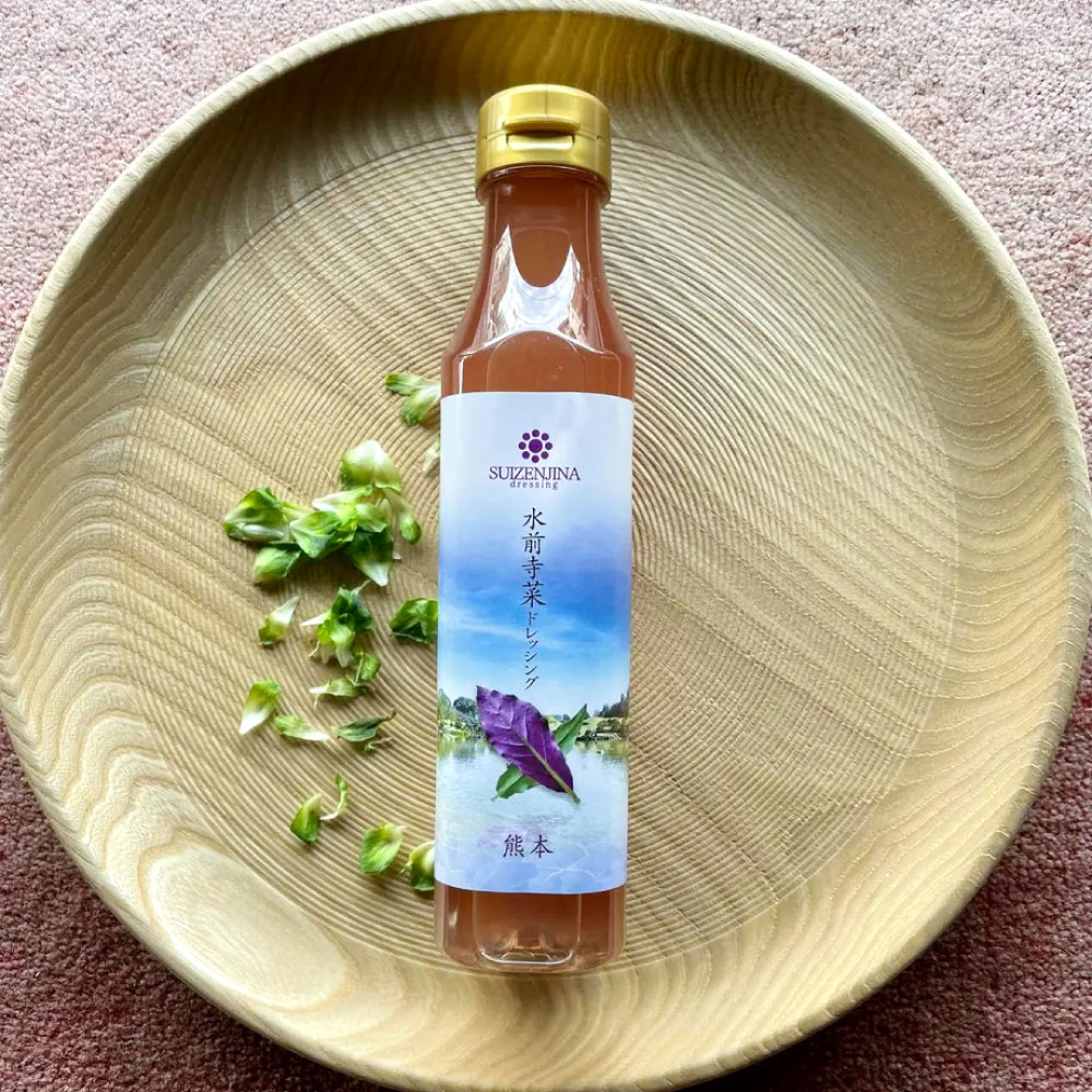 市場 ふるさと納税 オリジナル 贈答用 肥後野菜 水前寺菜ドレッシング 330ml 2本 健康野菜 郷土野菜 野菜
