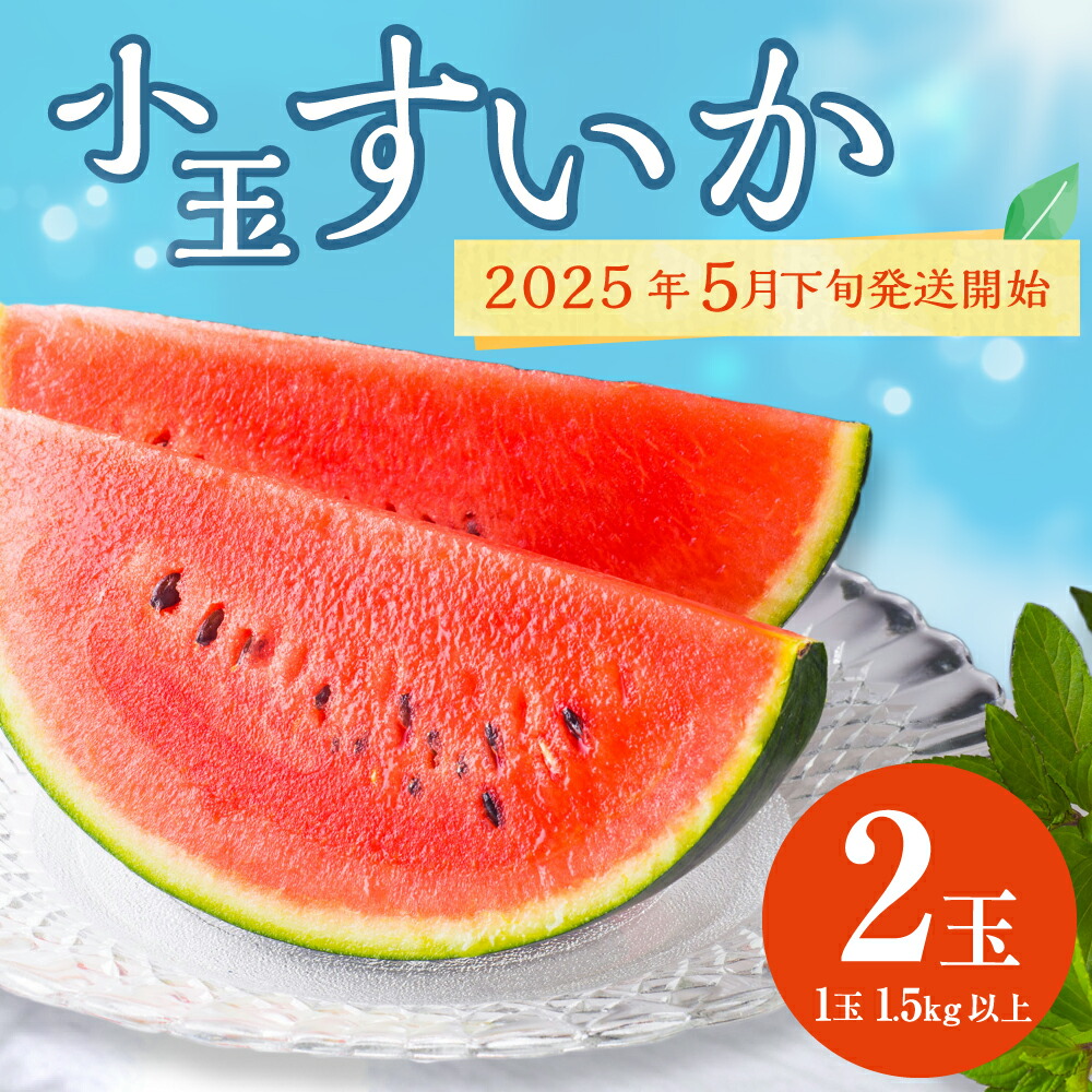 【ふるさと納税】熊本県産 小玉スイカ ひとりじめ 黒小玉 ピノガール 2玉 3kg以上 1玉1.5kg以上 熊本 すいか 果物 フルーツ 西瓜 国産 九州産 熊本県産 熊本市産 送料無料 【2025年5月下旬～6月下旬発送予定】
