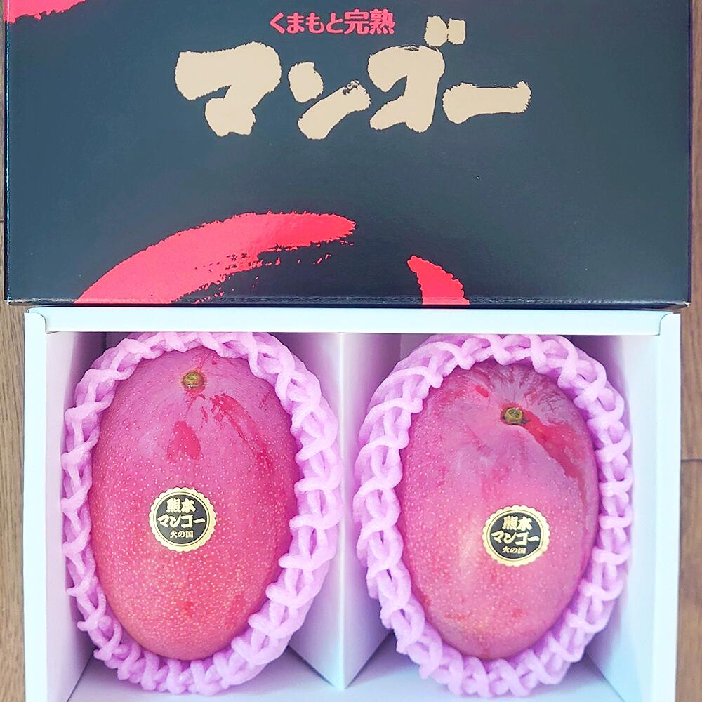 【ふるさと納税】熊本県産 完熟マンゴー（化粧箱入）3L（2玉入）マンゴー アップルマンゴー 果物  完熟 フルーツ くだもの 果実 おやつ 熊本産 九州産 送料無料【2025年7月上旬～8月上旬発送予定】