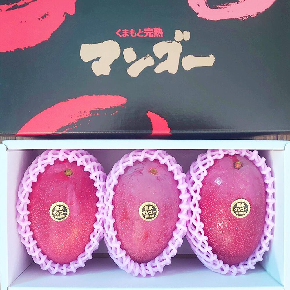【ふるさと納税】熊本県産 完熟マンゴー（化粧箱入）L（3玉入）or 2L（２玉入） マンゴー アップルマンゴー 果物 果物 完熟 フルーツ 果実 おやつ 熊本産 九州産 送料無料【2025年7月上旬～8月上旬発送予定】