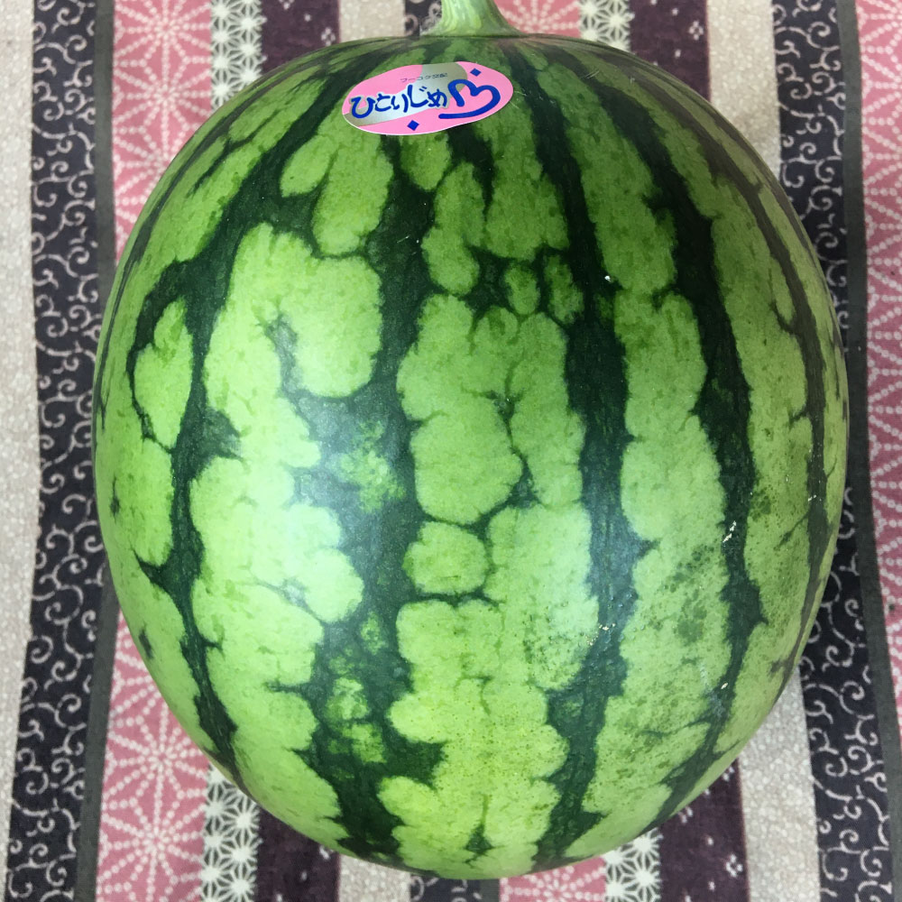 【ふるさと納税】熊本特産！小玉 スイカ２玉 入り 西瓜 果物 フルーツ 九州 ギフト 贈答 小玉 くだもの 熊本県産 送料無料【2025年6月発送予定】