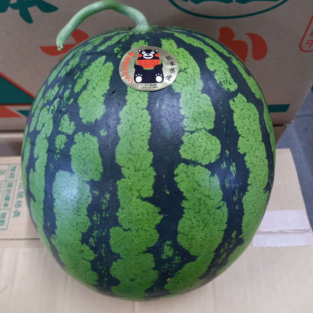 【ふるさと納税】熊本特産！大玉 スイカ １玉（約6kg以上）すいか 西瓜 くだもの 果物 フルーツ 熊本市産 熊本県産 九州産 国産 送料無料【2025年6月上旬～7月下旬発送予定】