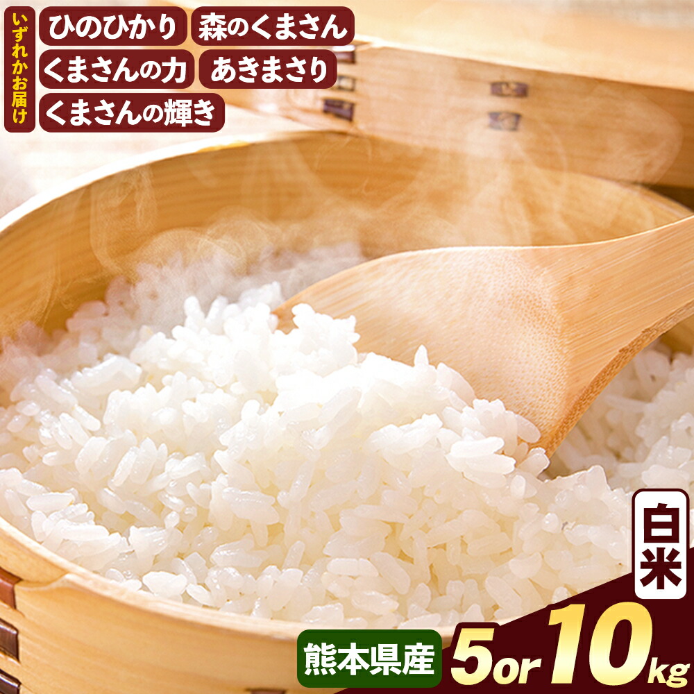 【ふるさと納税】【選べる 容量】【令和6年産】 熊本県産 白米 5kg or 10kg 5種のお米からいずれか1種をお届け 合計5kg / 合計10kg 1袋5kg 熊本県産 九州 米 お米 白米 こめ コメ ご飯 ごはん 精米 ブランド米 国産 送料無料