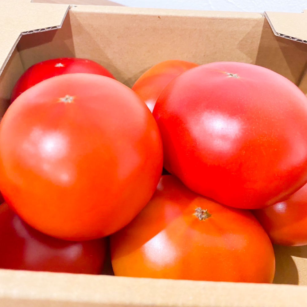 【ふるさと納税】まるで太陽の恵みをそのまま閉じ込めたような真っ赤な 大玉トマト約3.5kg（熊本県産）トマト とまと 3.5kg 野菜 やさい 常温 熊本県 熊本市 送料無料【2026年1月下旬～5月下旬迄発送予定】