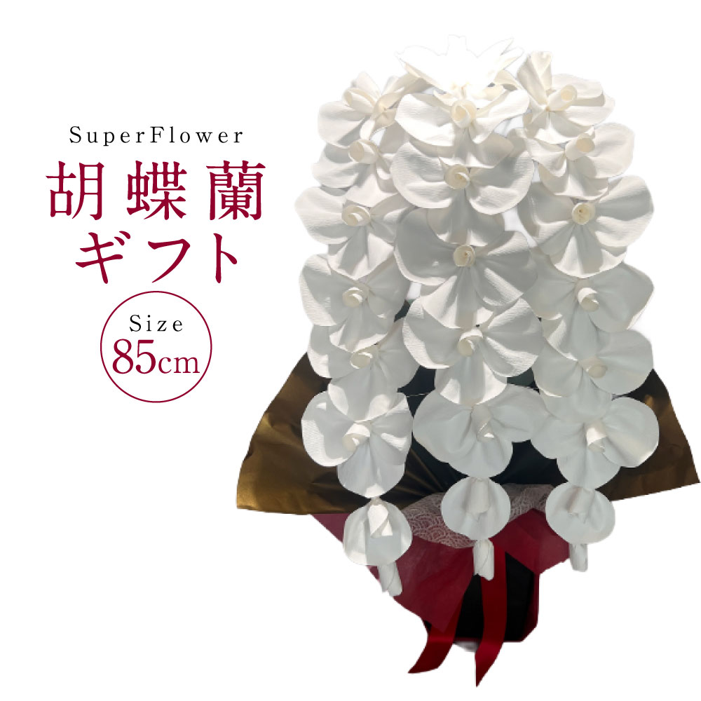 【ふるさと納税】SuperFlower「夢見鳥蘭差し上げ物」 コチョウラン 百貨店御花 言い慣わし芸術花 御前上等紙 お花 御花 散らない 枯れない 咲き続ける 室内装飾 かざり付ける 差し上げ物 差し上げ物 差し上げ物 祝賀会 開店祝賀会 入会祝賀会 周年祝賀会 祝する日 熊本県 熊本市 貨物輸送無料