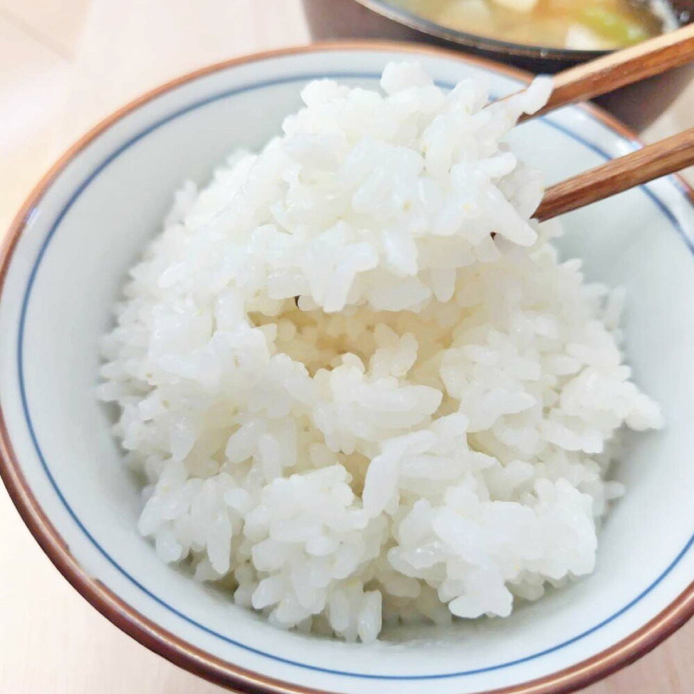 【ふるさと納税】【令和7年産】阿蘇五宮奉納米 5kg&times;1袋 ヒノヒカリ お米 米 こめ コメ 白米 精米 単一原料米 ごはん ご飯 化石サンゴミネラル使用 化学肥料・農薬不使用 熊本県産 国産 九州 熊本県 熊本市 送料無料 【2026年10月下旬まで順次発送予定】｜熊本県熊本市