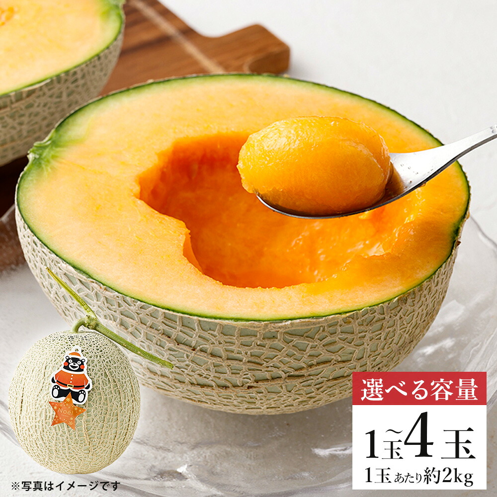 【ふるさと納税】<選べる内容量>Noëlメロン 1玉あたり約2kg 1玉 / 2玉 / 4玉 メロン めろん 赤肉 フルーツ くだもの 果物 果実 デザート 熊本県産 国産 熊本県 熊本市 送料無料 【2026年12月上旬~下旬発送予定】|熊本県熊本市