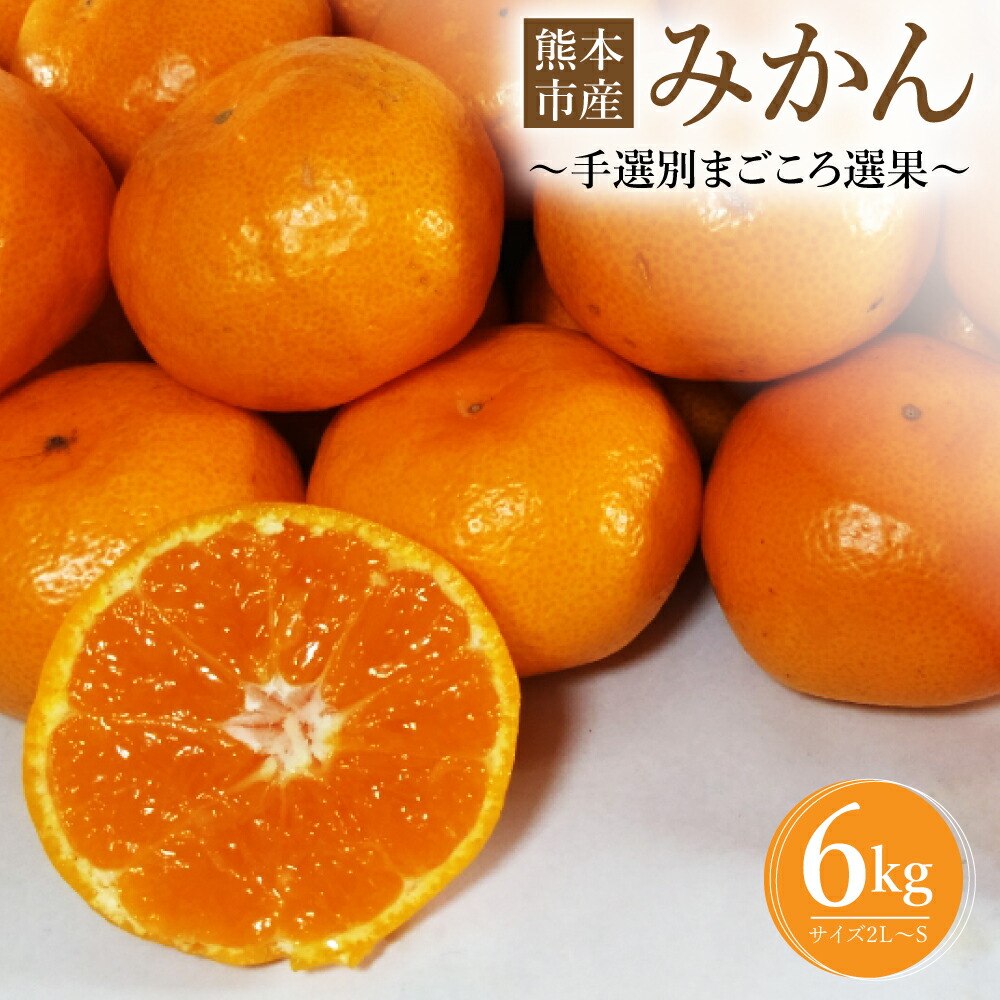 【ふるさと納税】 熊本市産 みかん 【手選別まごころ選果】6kg サイズ2L～S 蜜柑 ミカン フルーツ 果物 柑橘 熊本産 九州産 送料無料【2025年10月下旬～2026年2月下旬迄発送予定】