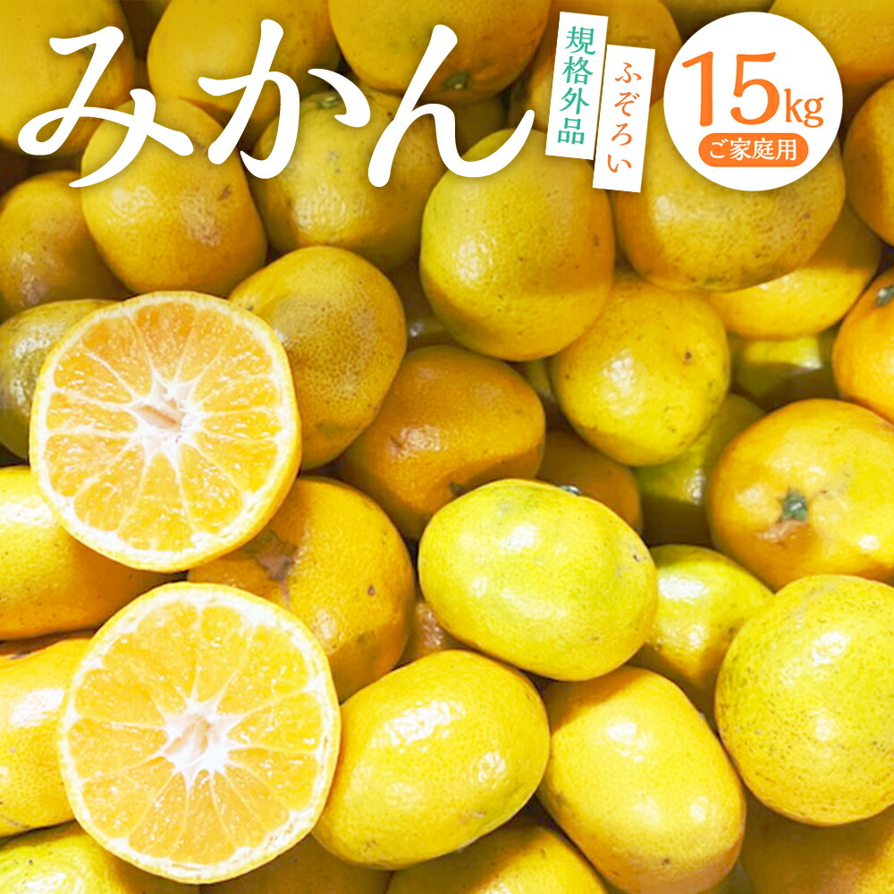 【ふるさと納税】 【規格外品】熊本市産 みかん ご家庭用 15kg 不揃い 訳あり 蜜柑 ミカン フルーツ 果物 くだもの 柑橘 果実 おやつ 熊本産 九州産 先行予約 送料無料 【2025年10月下旬～2026年2月下旬迄発送予定】