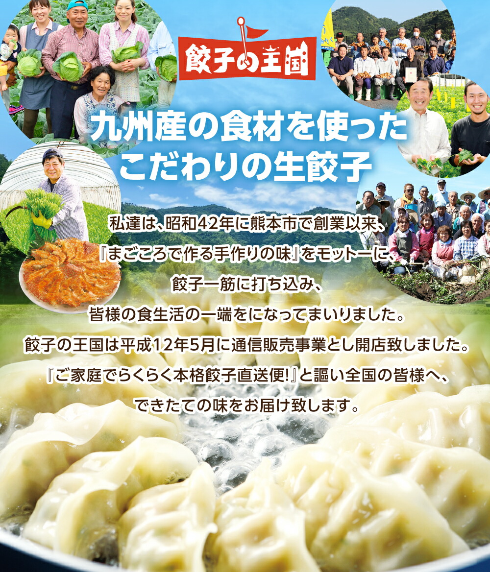 【ふるさと納税】＜ R8年熊本地震復興支援 ＞ 餃子の王国 生小籠包 48個 小籠包 ショウロンポウ 中華 中華惣菜 惣菜 お惣菜 おかず 点心 もちもち 皮 豚肉 肉汁 お肉 ジューシー 熊本市 国産 冷凍 送料無料