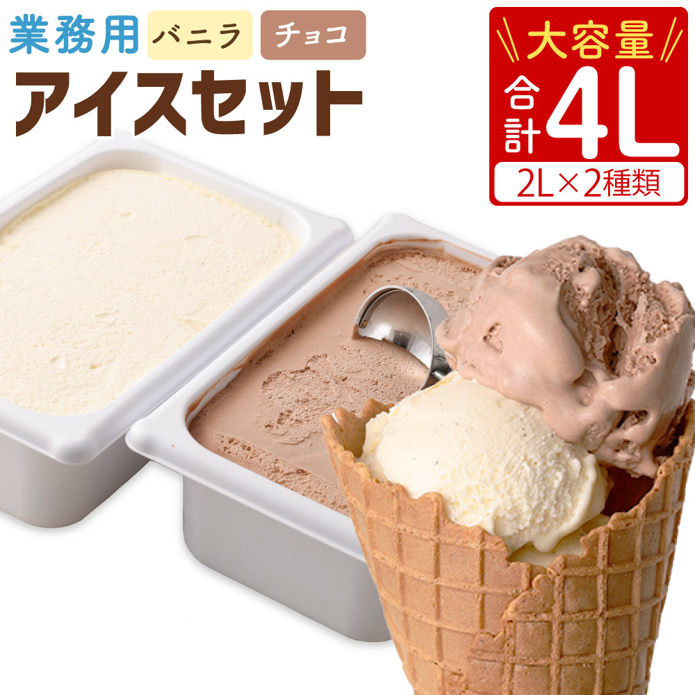 【ふるさと納税】 業務用 2Lアイス セット 合計4L 2L×2種類 バニラ チョコ 大容量 アイス アイスクリーム アイスミルク セット バニラアイス チョコアイス おやつ 乳製品 熊本県製造 九州産 国産 冷凍 送料無料【2025年6月下旬順次発送開始】