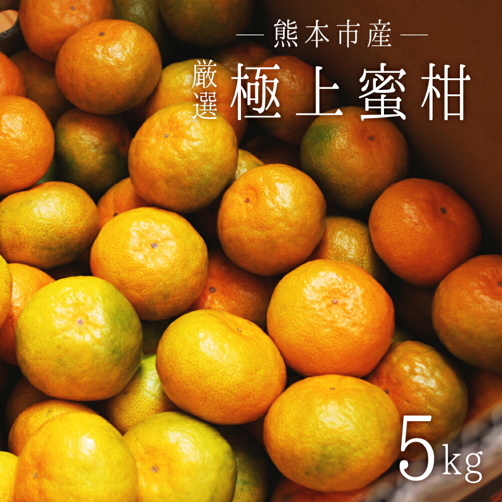 【ふるさと納税】  熊本市産 厳選 極上蜜柑 5kg みかん 蜜柑 ミカン 柑橘 フルーツ 果物 くだもの 果実 熊本市 熊本県 送料無料 【2025年9月上旬～2026年1月下旬迄発送予定】