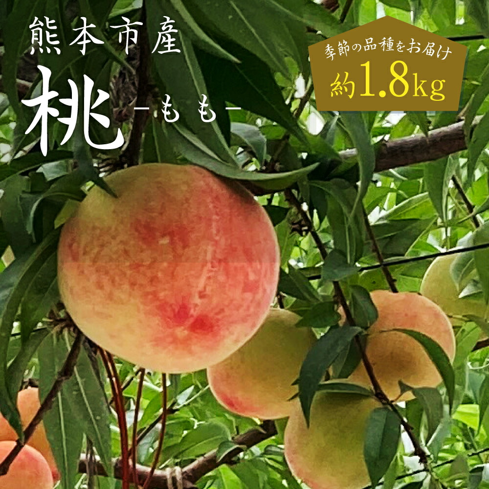 【ふるさと納税】  熊本市産 桃 約1.8kg 季節の品種をお届け 12玉～16玉 もも モモ フルーツ 果物 くだもの 果実 冷蔵 熊本市 熊本県 送料無料 【2025年5月下旬～7月上旬発送開始】