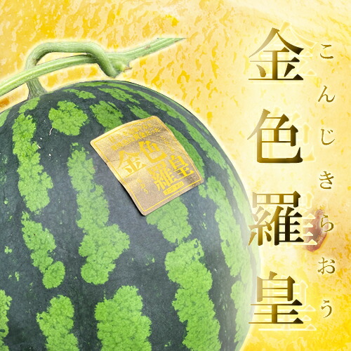 【ふるさと納税】 熊本産 金色羅皇 1玉 スイカ すいか 7kg 以上 西瓜 果物 フルーツ 旬 果肉 おやつ 九州 ギフト 贈答 先行予約 送料無料 【2025年5月下旬～6月下旬発送予定】