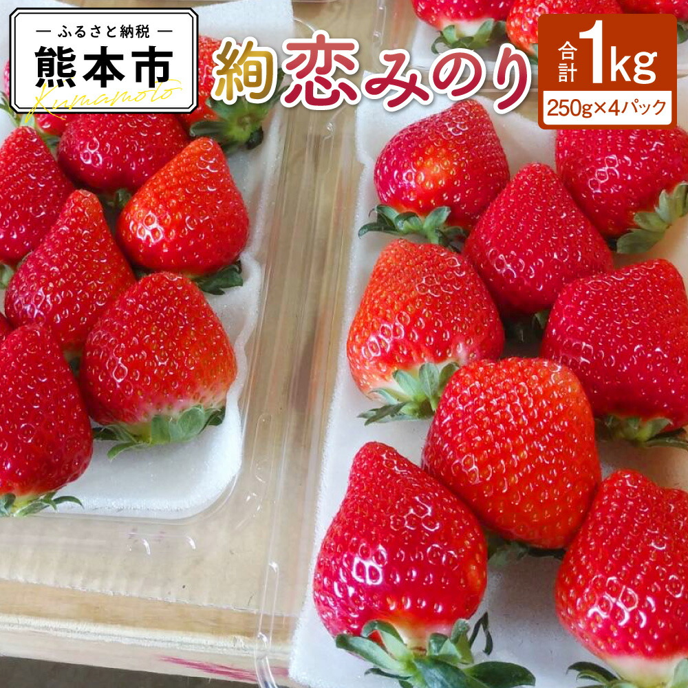 【ふるさと納税】 絢音ベリー 農園 