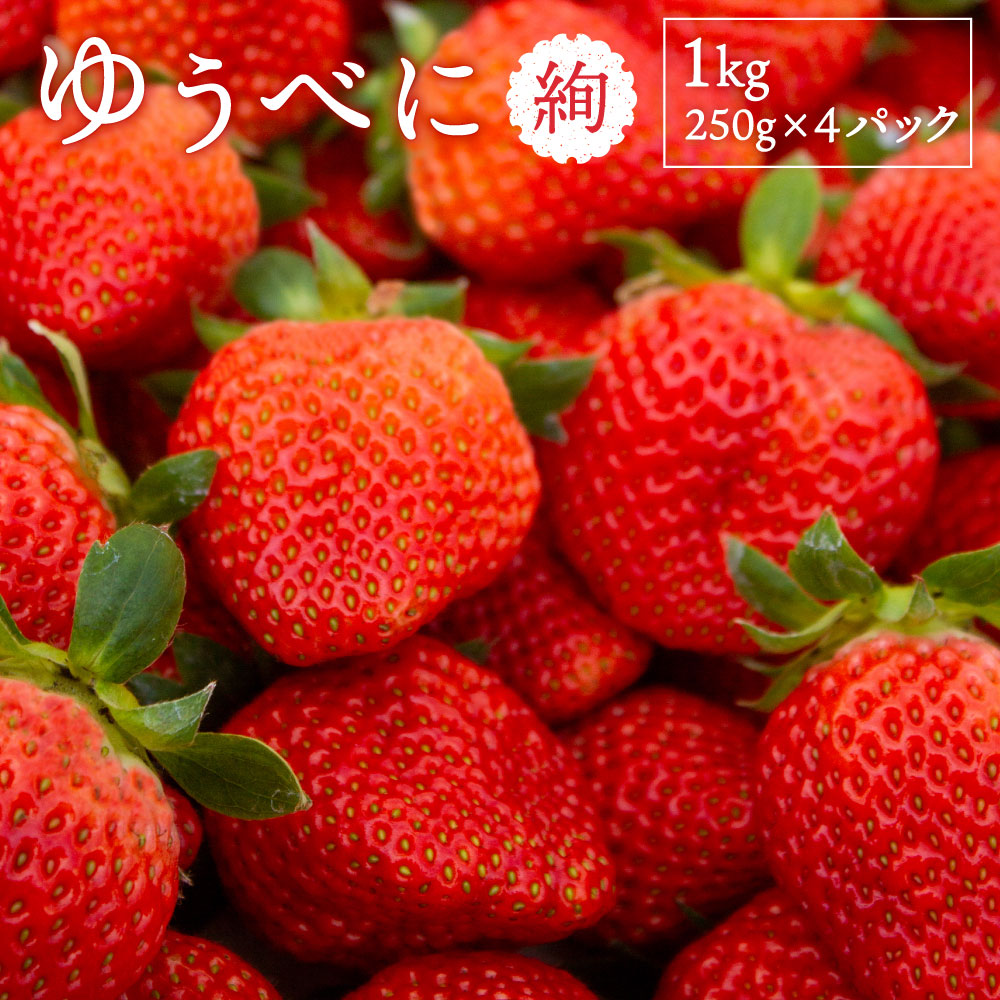 【ふるさと納税】 絢音ベリー農園 