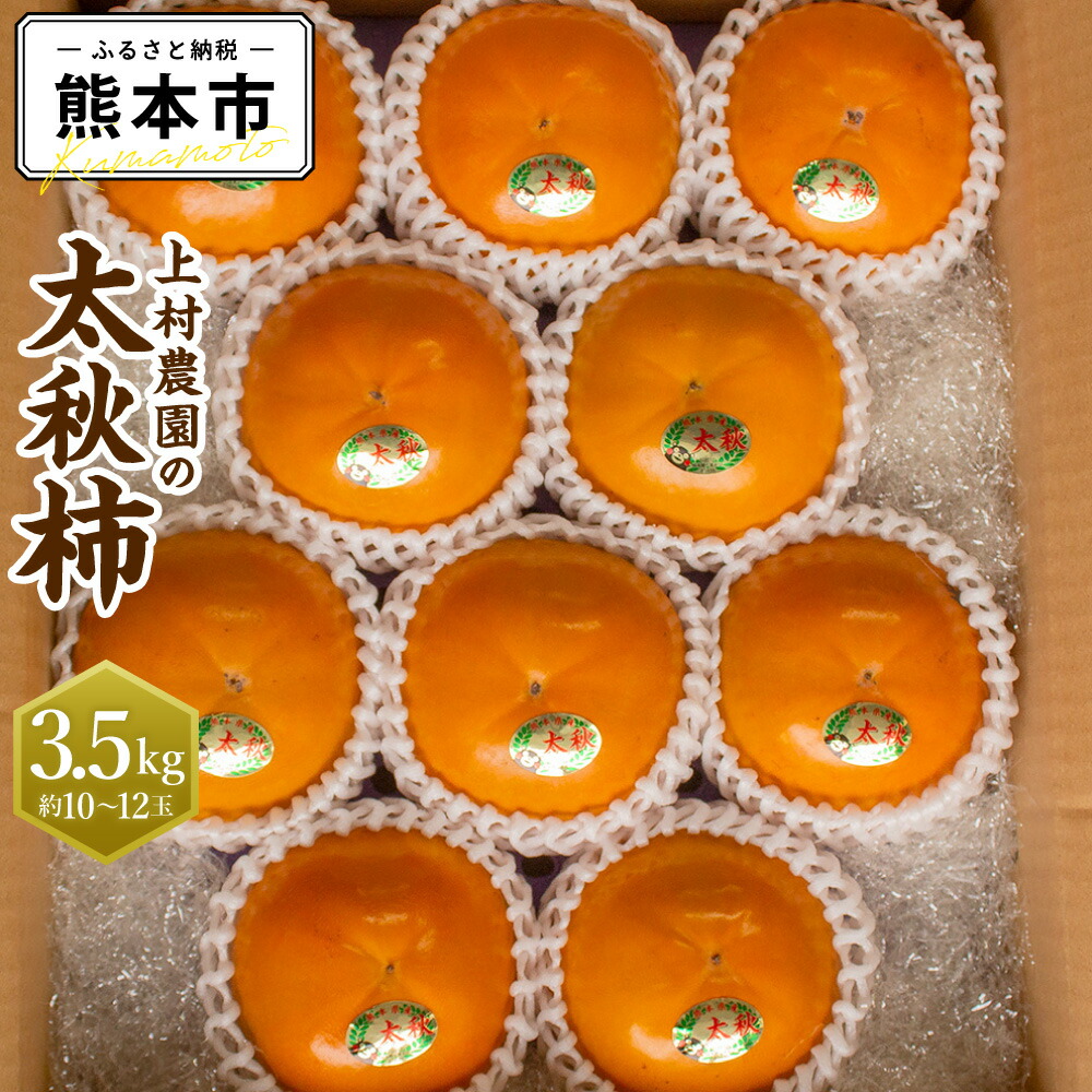 【ふるさと納税】 上村農園の太秋柿 3.5kg (約10～12玉) 太秋柿 柿 かき たいしゅうかき フルーツ くだもの 果物 果実 おやつ 熊本県 植木町産 常温 先行予約 送料無料 【2025年10月下旬～11月下旬迄発送予定】