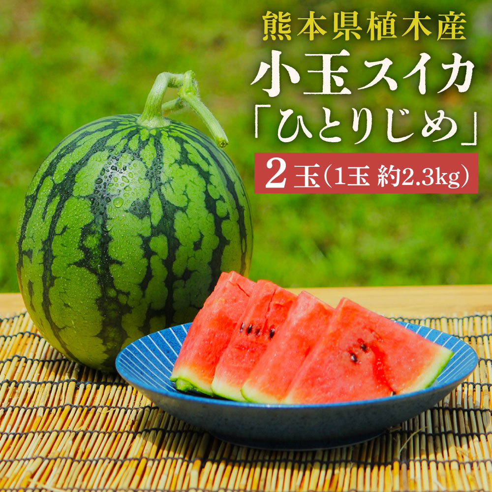 【ふるさと納税】 植木ブランド 小玉すいか 約2.3kg 2玉 ひとりじめ 春スイカ 植木 スイカ 西瓜 果物 フルーツ セット 熊本県 熊本市 植木産 常温 送料無料【2026年5月上旬～5月下旬迄順次発送予定】