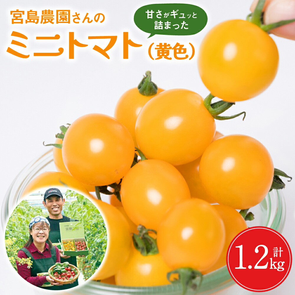 【ふるさと納税】ミニトマト 黄色 1.2kg 宮島農園 トマト 野菜 黄 プチトマト サラダ スイーツ 生野菜 旬 冷蔵 八代市産 国産 熊本県 九州 送料無料