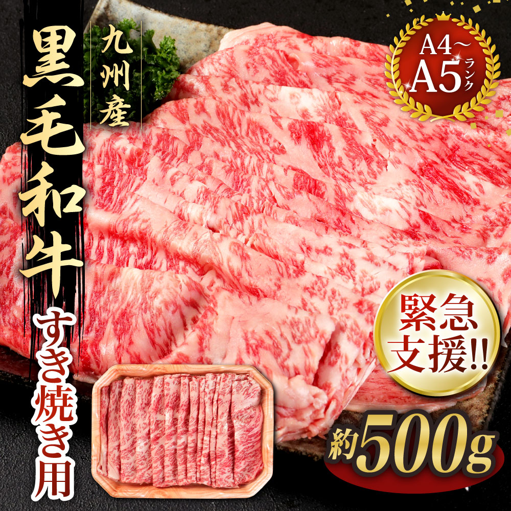 超歓迎】 熊本県産 黒毛和牛 ハンバーグ 150g×6個 合計900g デミグラスソース付き 肉 お肉 牛肉 和牛 惣菜 おかず お弁当 冷凍 送料無料  fucoa.cl