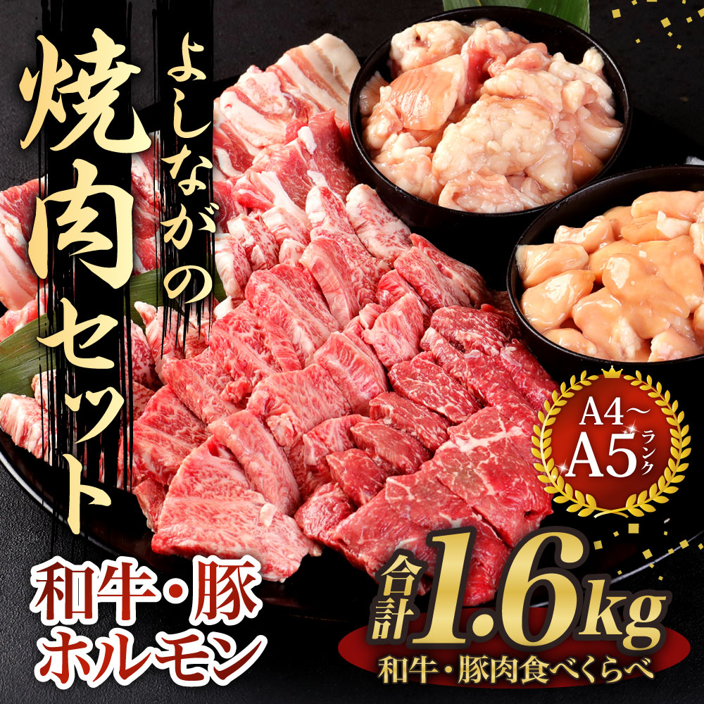 ふるさと納税 そのとおりながの焼食肉揃 A5 プラス凡1 6kg 7物種 5 6人前 ビーフ肉 豕肉 食べくらべ 和牛カルビ ロース モモ 豚カルビ ロース 万全腸 シマ腸 ホルモン 国産牛 国産豚 お肉 焼き肉 q 丸焼き アウトドア 詰合せ 凍結 九州 貨物輸送無料 Earthkitchen Ph