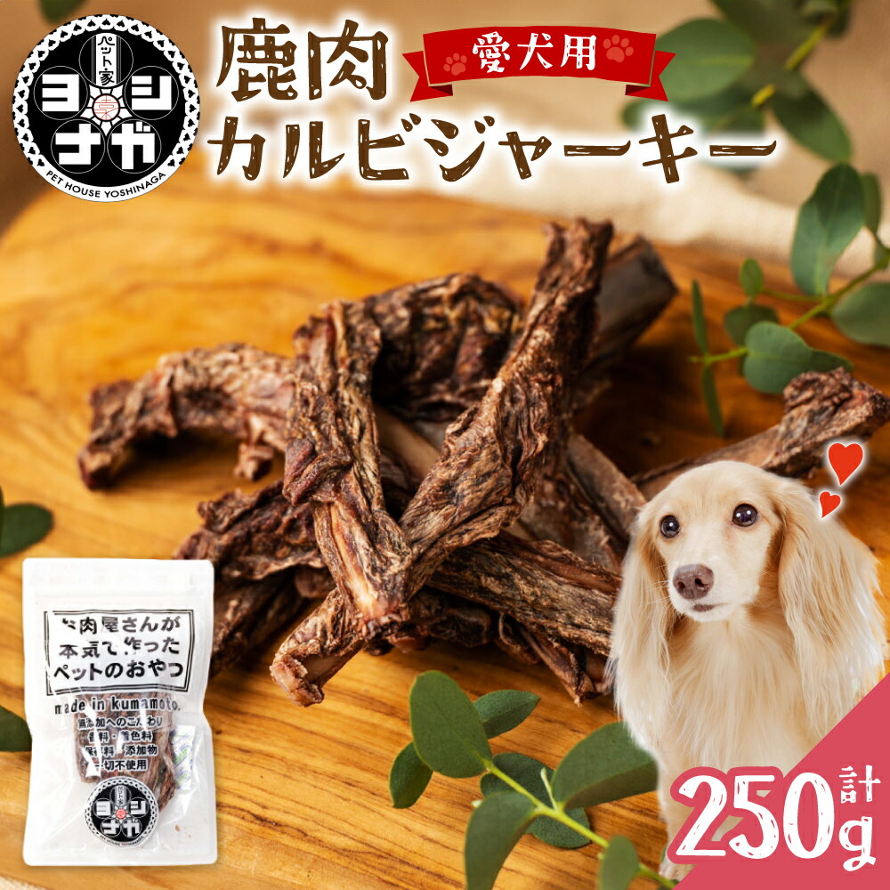 楽天市場】【ふるさと納税】 TVで紹介されました！ ペット家