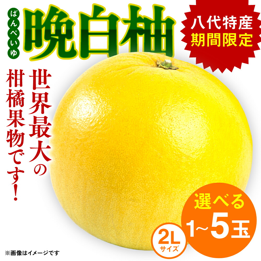 【ふるさと納税】 【選べる玉数】 晩白柚 ばんぺいゆ 2Lサイズ 1～5玉 1玉あたり約2kg 化粧箱入り 果物 くだもの フルーツ 柑橘 贈り物 期間限定 お正月飾り 柑橘の香り 爽やかな甘味 爽やかな香り 八代産 熊本県産 国産 送料無料 【2025年12月上旬より順次発送】