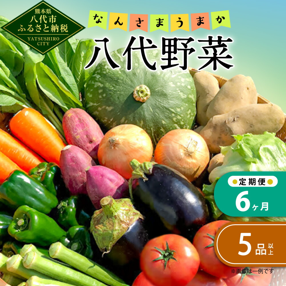 【ふるさと納税】【定期便6回】なんさまうまか 八代野菜セット 5品以上 野菜 やさい 詰め合わせ 旬の野菜 新鮮 朝採れ 八代よかとこ物産館 国産 九州産 熊本県産 季節のお野菜 おまかせ野菜 新鮮野菜 送料無料