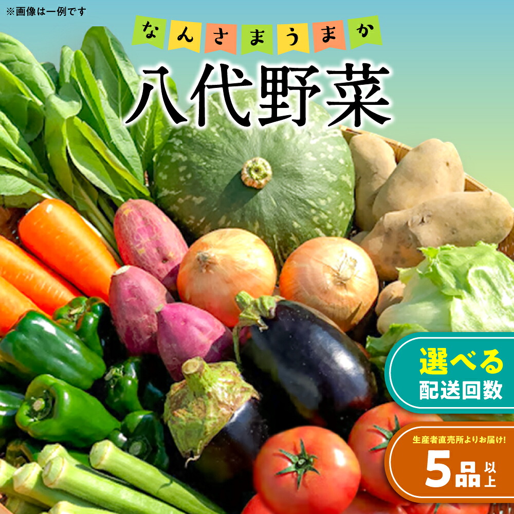 【ふるさと納税】【選べる発送回数】なんさまうまか 八代野菜セット 5品以上 野菜 やさい 詰め合わせ 旬の野菜 新鮮 朝採れ 八代よかとこ物産館 国産 九州産 熊本県産 季節のお野菜 おまかせ野菜 新鮮野菜 送料無料|熊本県八代市