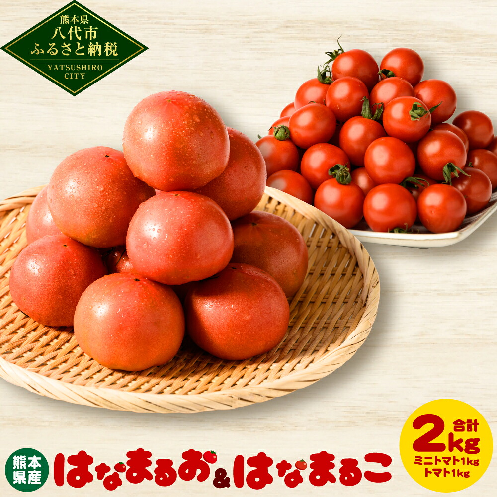【楽天市場】【ふるさと納税】熊本県産 トマト 1kg & ミニトマト 1kg 合計2kg はなまるお はなまるこ とまと 野菜 産地直送 八代 ...