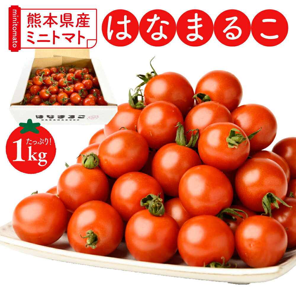 【ふるさと納税】熊本県産 ミニトマト はなまるこ 1kg 【選べる発送月】 トマト とまと 野菜 産地直送 プチトマト リコピン 新鮮 青果物 農産物 サラダ パスタ カプレーゼ 八代市産 箱入り 冬トマト 旬 冬 春 特産品 まとめ買い 送料無料画像