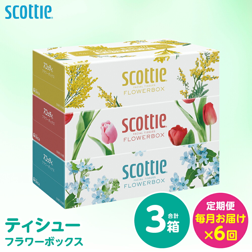 【ふるさと納税】【定期便6回】【毎月お届け】【スコッティ】 ティシュー フラワーボックス 250組 3箱 計18箱 ティッシュ 日用品 生活必需品 消耗品 紙 備蓄 防災備蓄 ストック 新生活 防災 生活用品 日用消耗品 箱ティッシュ 熊本県 八代市 送料無料｜熊本県八代市